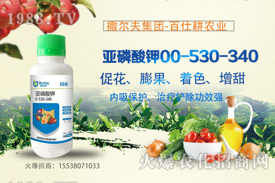 �I�B(y��ng)�������A(y��)�������������������@ôţ���������������ԭ����