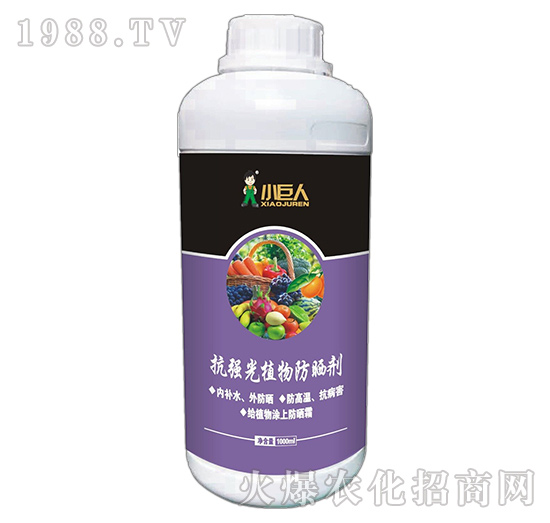 河南小巨人怎么樣？公司有什么優(yōu)勢？主推產(chǎn)品有哪些？