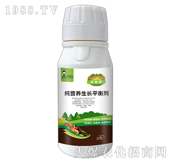 河南小巨人怎么樣？公司有什么優(yōu)勢？主推產(chǎn)品有哪些？