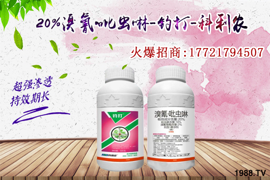 �������x���l(f��)̫���������x��ô��Ч���ã����x���η�������Щ��