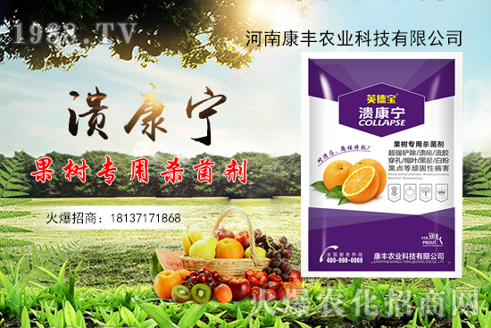 柑橘潰瘍病又到高發(fā)期，康豐農(nóng)業(yè)“潰康寧”防治效果怎么樣？