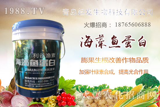 �߲˶�ֲ��ξ�������߲������`�^(q��)����Щ���߲�������������]��