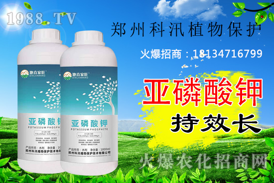 ������⛹�Ч�������C������Щ������������õĺ������