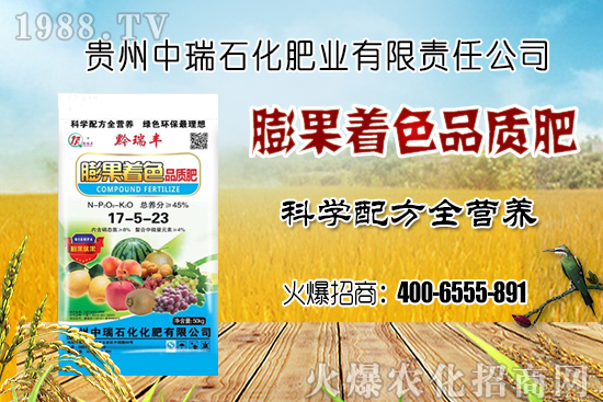 ���؃r(ji��)��