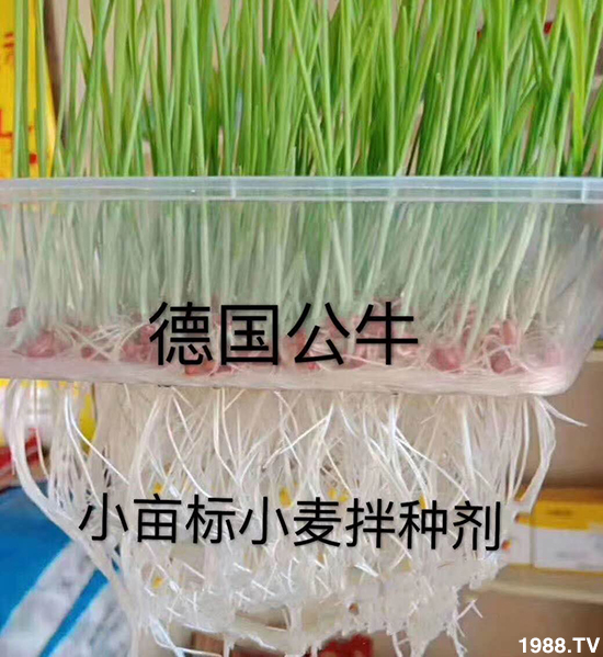 С����N�����a(ch��n)��С����N������x����С����N��Ʒ���x����