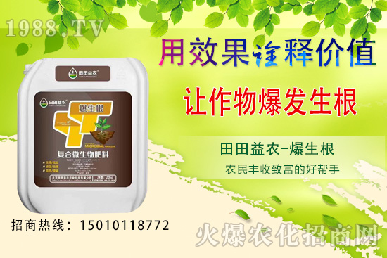 �J���ҷNֲǰ��������J���ҷNֲ���g(sh��)Ҫ�c(di��n)��