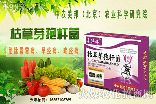 �ݲ�ѿ�ߗU���θ���������������Щ�������������Ό�������Щ��