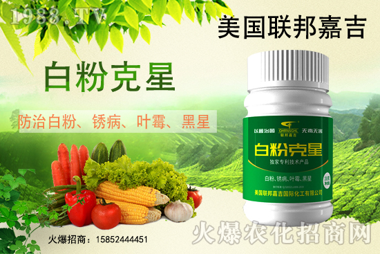白粉病強(qiáng)勢(shì)來(lái)襲!反復(fù)發(fā)作真的治不好么?作物白粉病劑推薦!