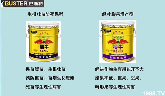     ���׌�Nֲ׃�ø��p����һ���ײ���ȫ���䷽����˹�ش󽪠I�B(y��ng)�ײͷ�����