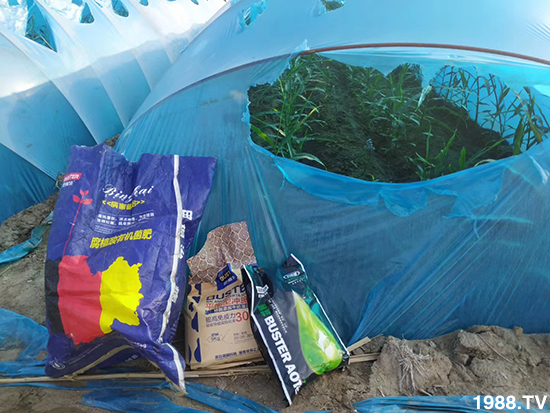     ���׌�Nֲ׃�ø��p����һ���ײ���ȫ���䷽����˹�ش󽪠I�B(y��ng)�ײͷ�����