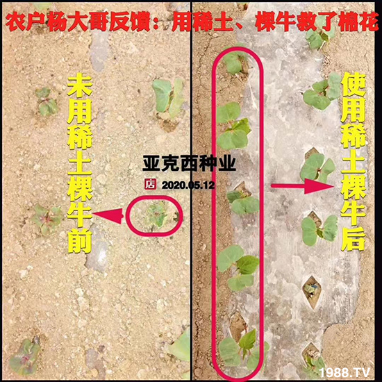     ���׌�Nֲ׃�ø��p�ɣ�һ���ײ���ȫ���䷽����˹�ش󽪠I�B(y��ng)�ײͷ�����