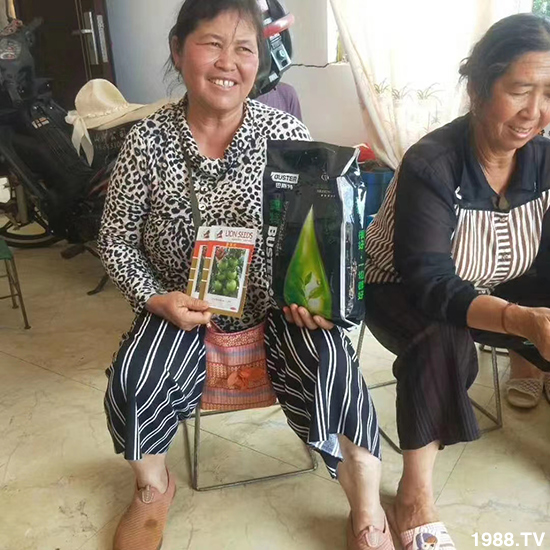     ���׌�Nֲ׃�ø��p����һ���ײ���ȫ���䷽����˹�ش󽪠I�B(y��ng)�ײͷ�����