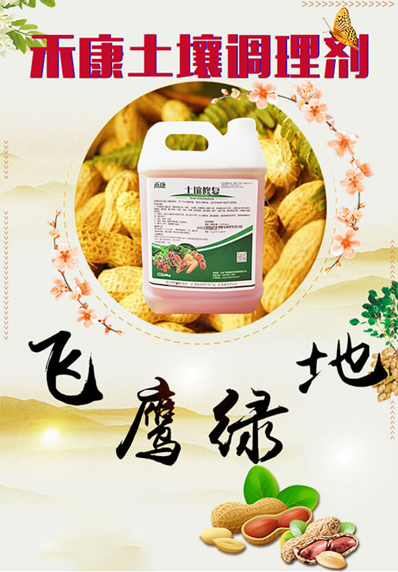 �̿����������{(di��o)�턩-�w���G��_01