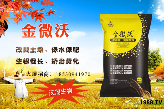 ����ͥԺ���ԷN���ц᣿����ʲô�r��N����ô�Nֲ��