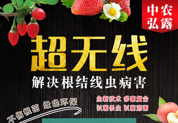 ���Y(ji��)���xˎ�������-���o��-��С��_01