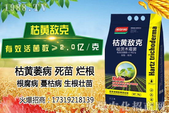 ���؃r(ji��)��