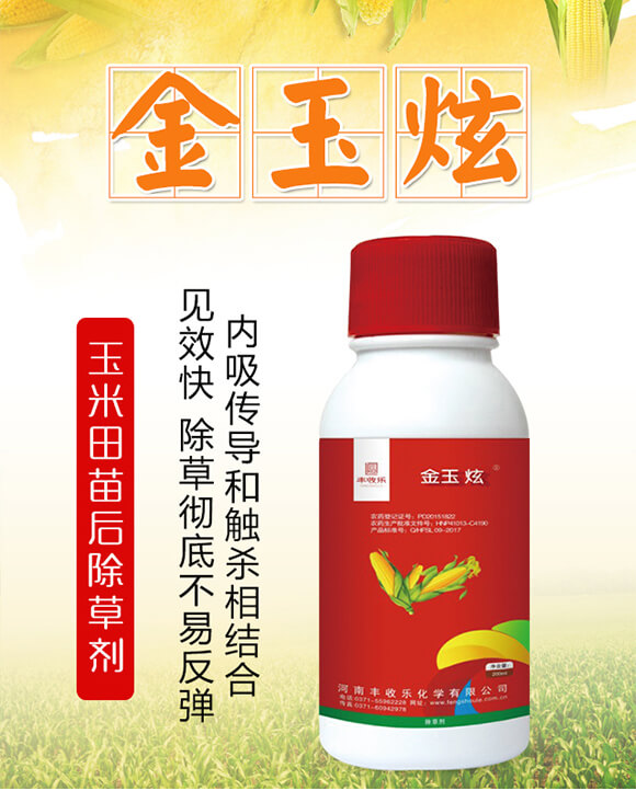 24%��������ݬȥ��-������-�S�՘�_01