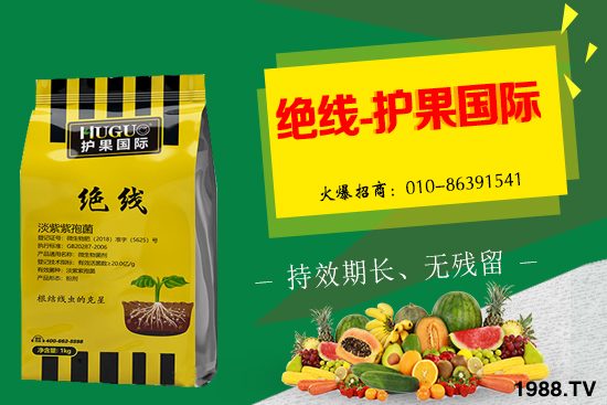 �޻���ʲôҪ�����������Щ��̎���޻�������g�������h��