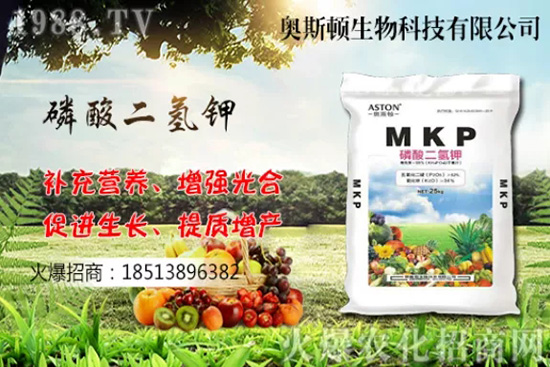 哪個(gè)品種的柚子更好吃，我國(guó)柚子產(chǎn)地及品種有哪些？