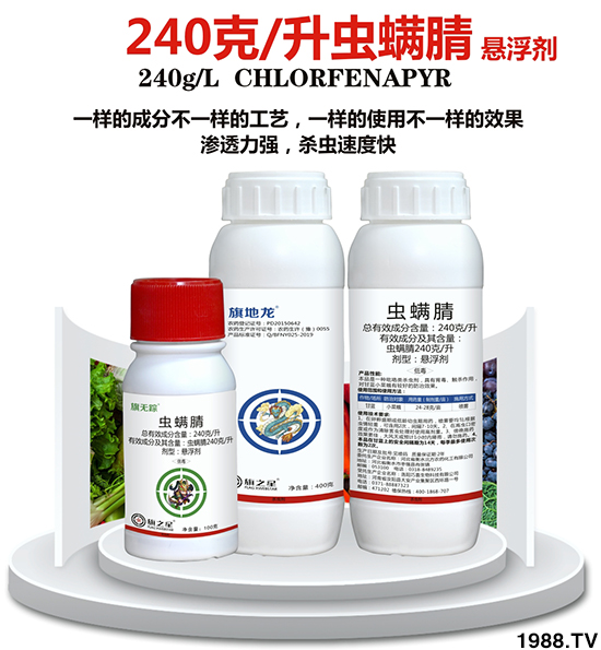 240��ÿ���x����-��oۙ-��֮��