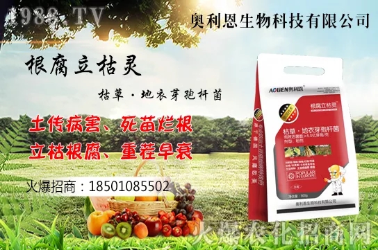 黃花菜什么季節(jié)栽培，黃花菜種植方法介紹！