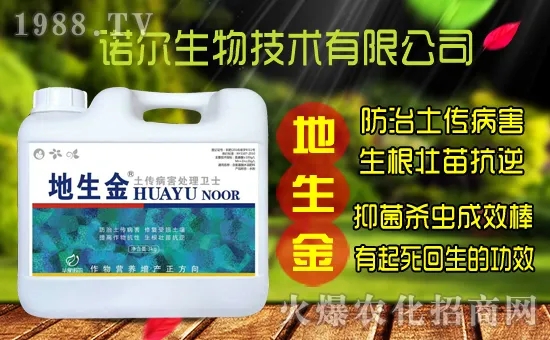 �S���˷N����ô�ɼ����S���˷N��r������Xһ����