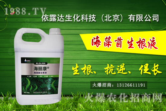 �J��������ЩƷ�N���J���Һ��殐����ʲô�^(q��)�e��