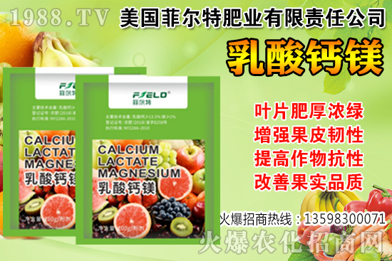 ���Ѳ��պ���α��r�����Ѳ��պ���@ע�������