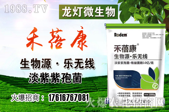 ���t���ڷ۷����ǣ����t��¶��ʹ���Nֲ�кβ�ͬ��