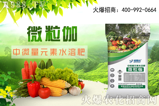 ����ԓ��ô��������������r(sh��)�g������ע��Ҫ�c(di��n)��