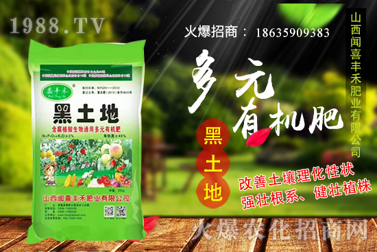 生姜如何選種，生姜什么時(shí)候種植？種植前需注意哪些問題？