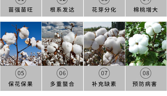 ����Ԫ��ˮ�ܷ�-��⏌�-Ӣ����_06