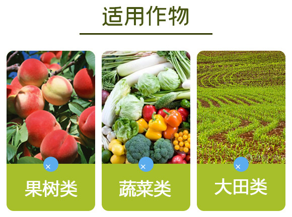 �Ǵ��}-Ӣ����_13