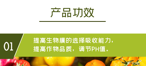 �Ǵ��}-Ӣ����_07