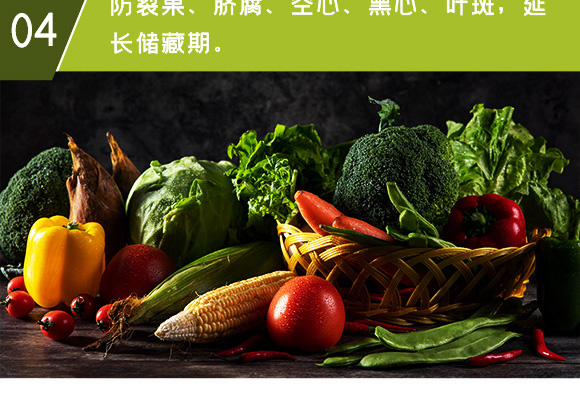 �Ǵ��}-Ӣ����_11