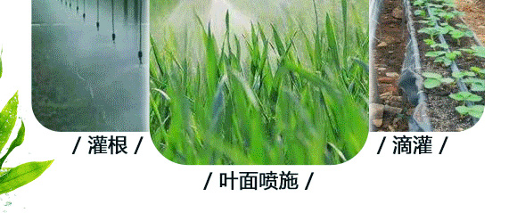 �Ҹ����\-Ӣ����_10