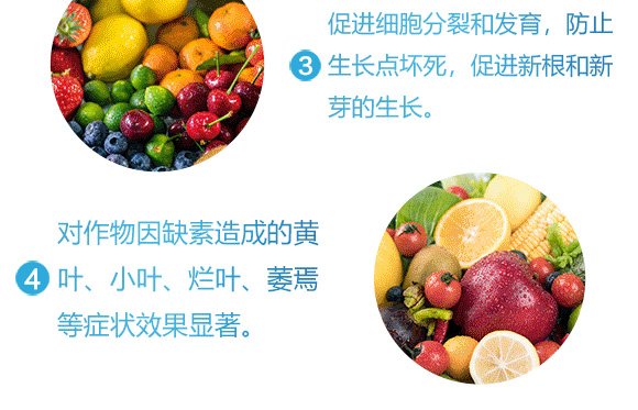 �Ҹ����\-Ӣ����_06