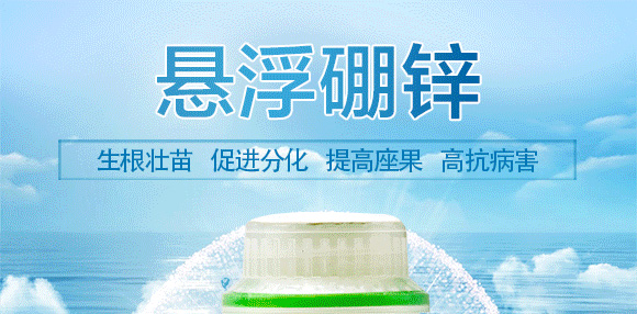 �Ҹ����\-Ӣ����_01