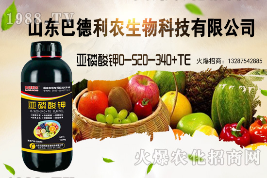 小麥價格能漲到多少錢一斤？部分地區(qū)價格行情！