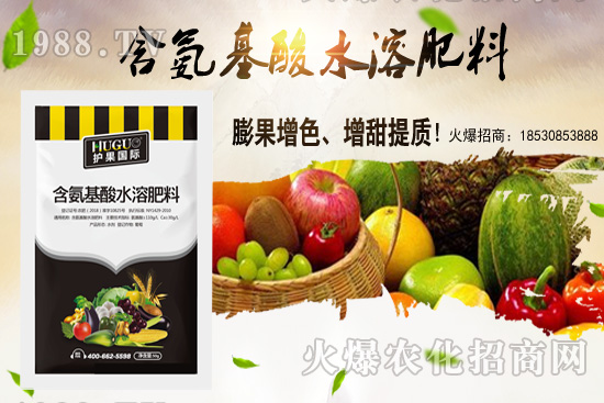 蕓豆適合在什么季節(jié)栽培？蕓豆如何進行種植？