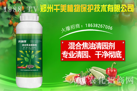 金錢草種子怎么種？金錢草種植方法介紹！