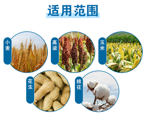 240g�ߵ�360-Ӣ����_08