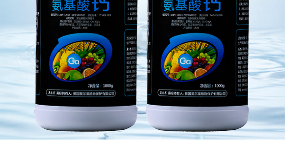 �������}-Ӣ����_03