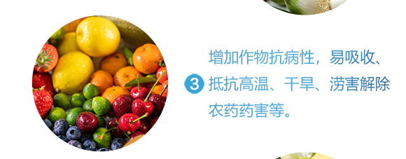 �������}-Ӣ����_08