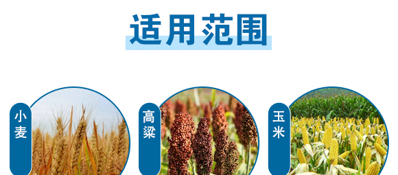 �������}-Ӣ����_10