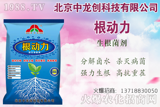 ���}���������������Щ�����}��ʩ�ʼ��g(sh��)Ҫ�c(di��n)��