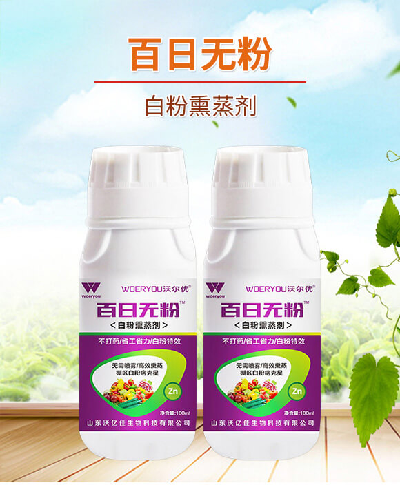 �׷�Ѭ��-���՟o��-�֠���(y��u)_01