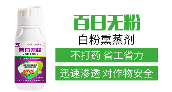 �׷�Ѭ��-���՟o��-�֠���(y��u)_02