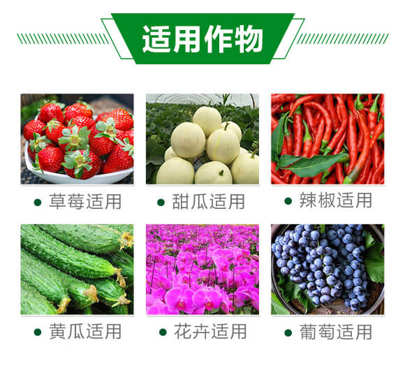 �׷�Ѭ��-���՟o��-�֠���(y��u)_05