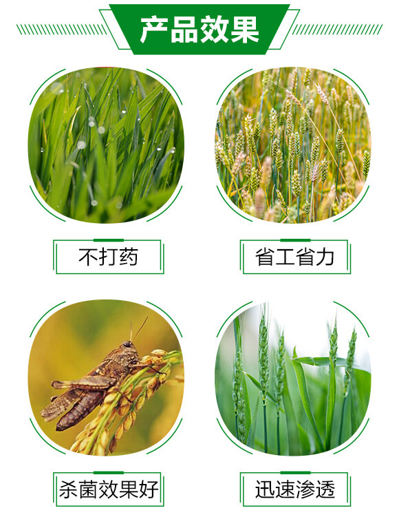 �׷�Ѭ��-���՟o��-�֠���(y��u)_03